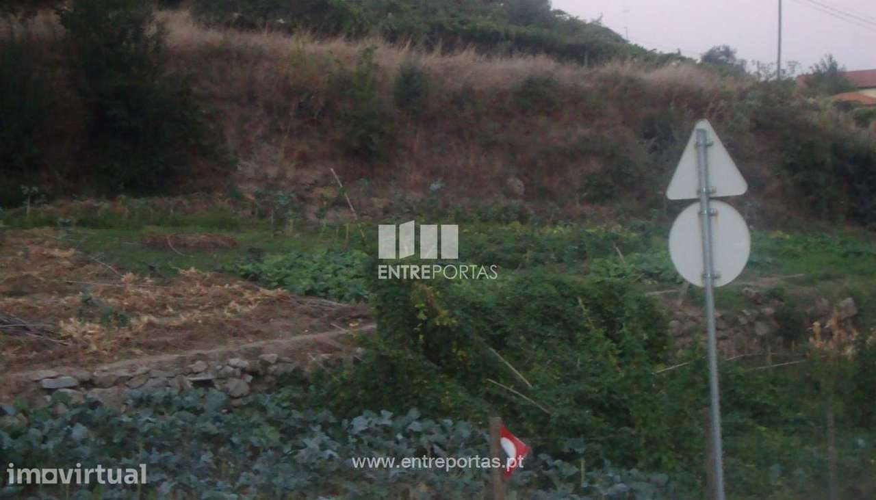 Venda Terreno, Santa Marinha do Zêzere, Baião - Grande imagem: 4/8