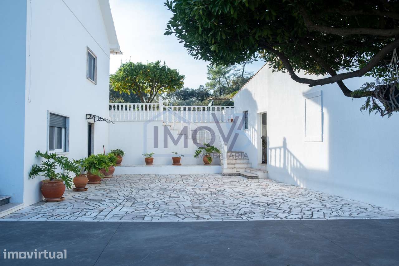 Propriedade com 2 Habitações, Anexo e Poço – Oportunidade Única em Fer - Grande imagem: 5/46