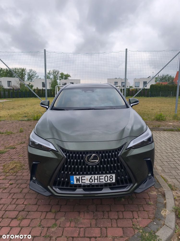 Lexus NX 350h Prestige 2WD - 7