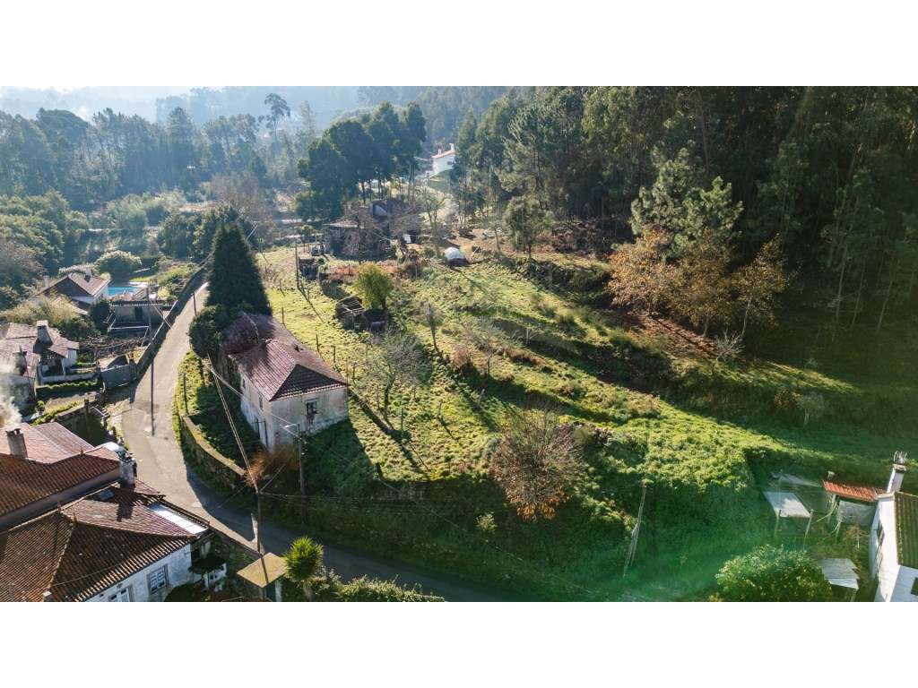 Quintinha com 3567m2 e vistas rio - Grande imagem: 2/14