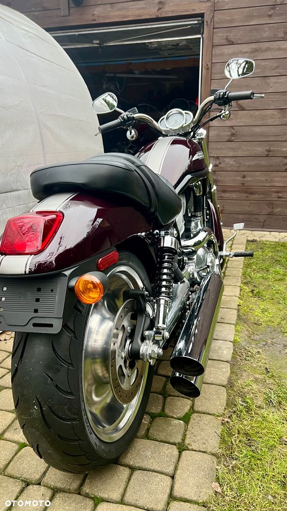 Harley-Davidson V-Rod Street Rod - 13