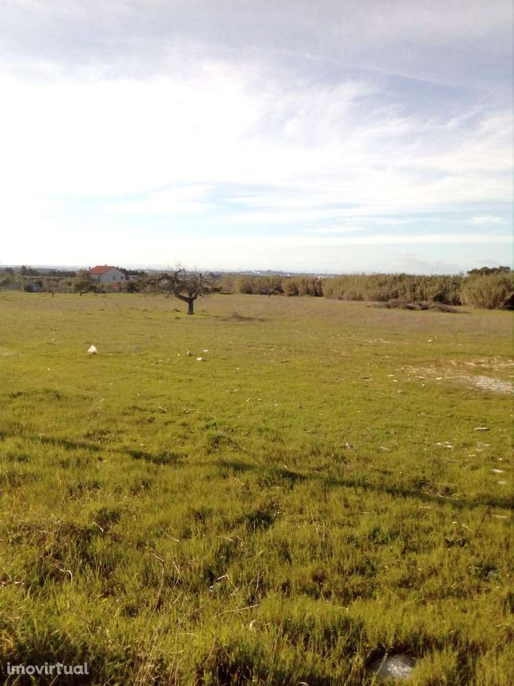 Palmela/ Cabanas Terreno com 1,5 Ha para construção de moradias. - Grande imagem: 4/8