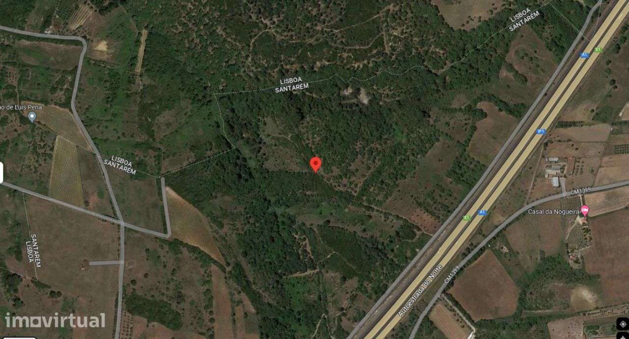 Terreno Vale Gião – Lapa 25 _ 192Cartaxo - Grande imagem: 2/2