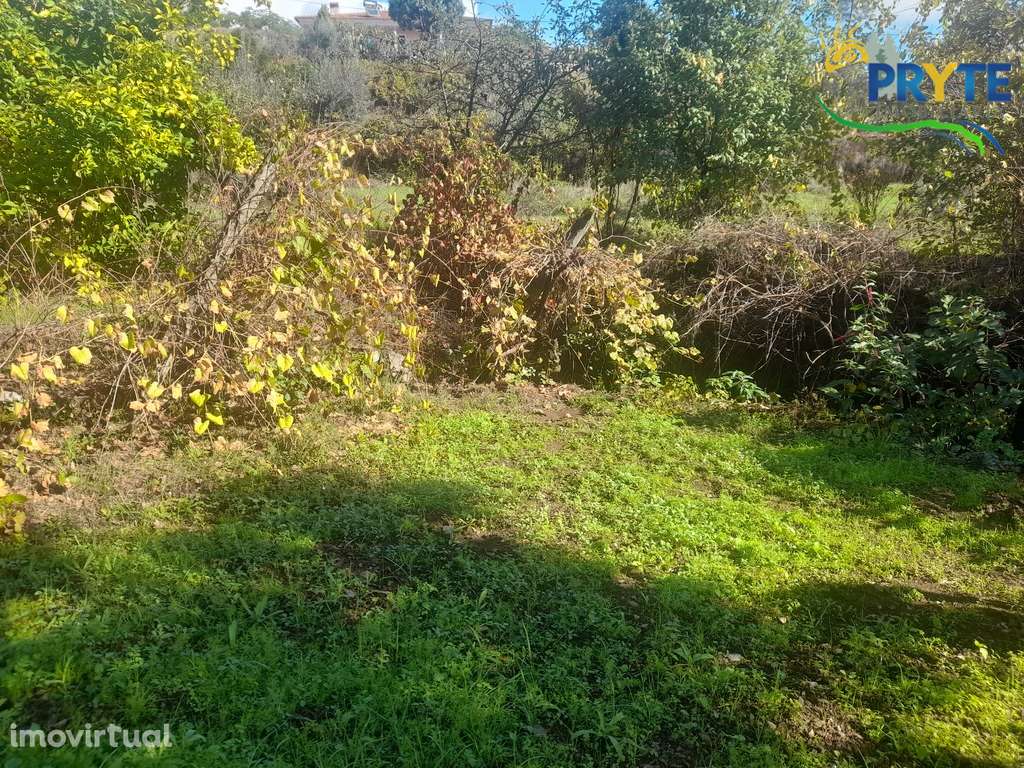 Terreno com 6000 metros quadrados em Linhares - Proença-a-Nova - Grande imagem: 5/12