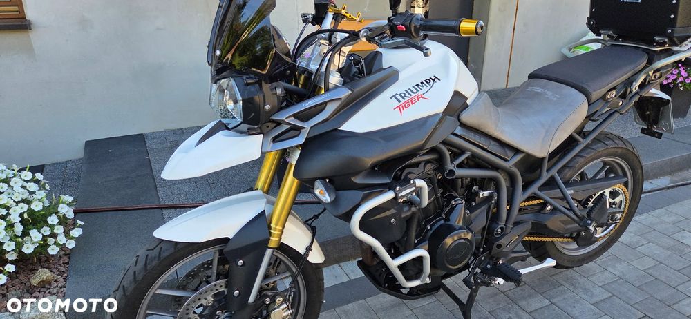 Triumph Tiger - 12
