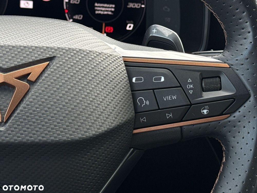 Cupra Formentor 2.0 TSI 4Drive DSG - 17