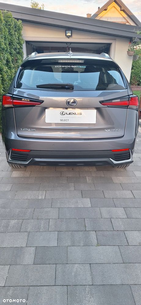 Lexus NX - 36