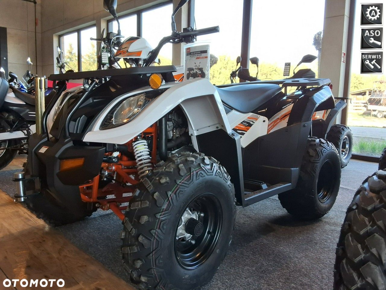 KAYO AU - 1
