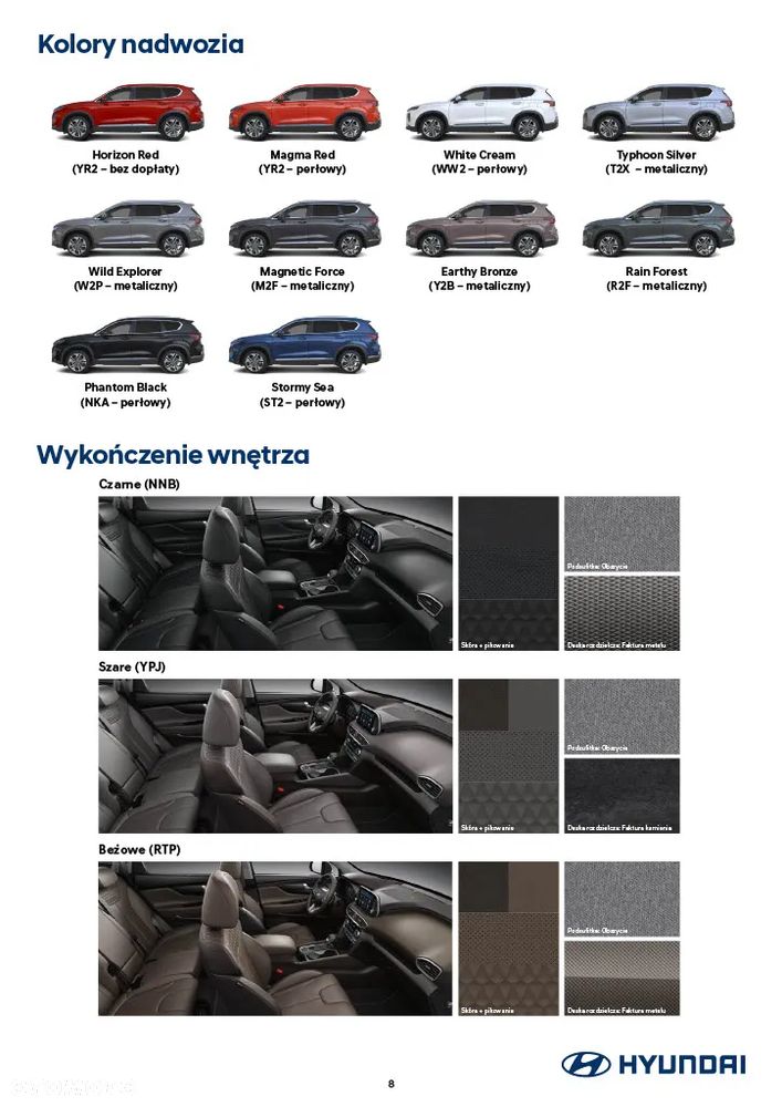 Hyundai Santa Fe 2.0 CRDi Platinum 4WD - 21