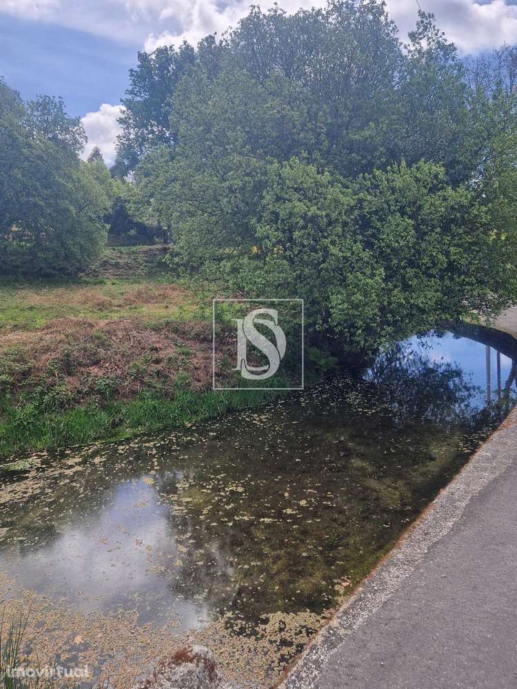Terreno  Venda em Pinheiro,Vieira do Minho - Grande imagem: 5/13