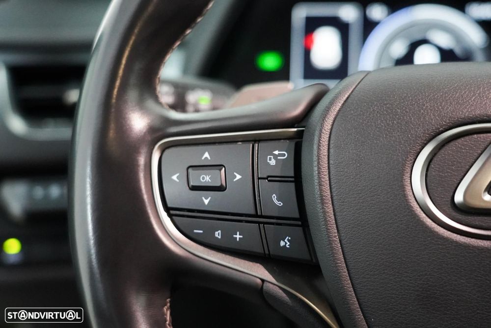 Lexus UX 300e Luxury - 16