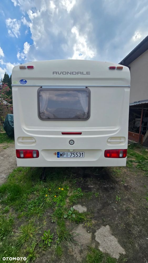 Avondale Avocet Golden - 15