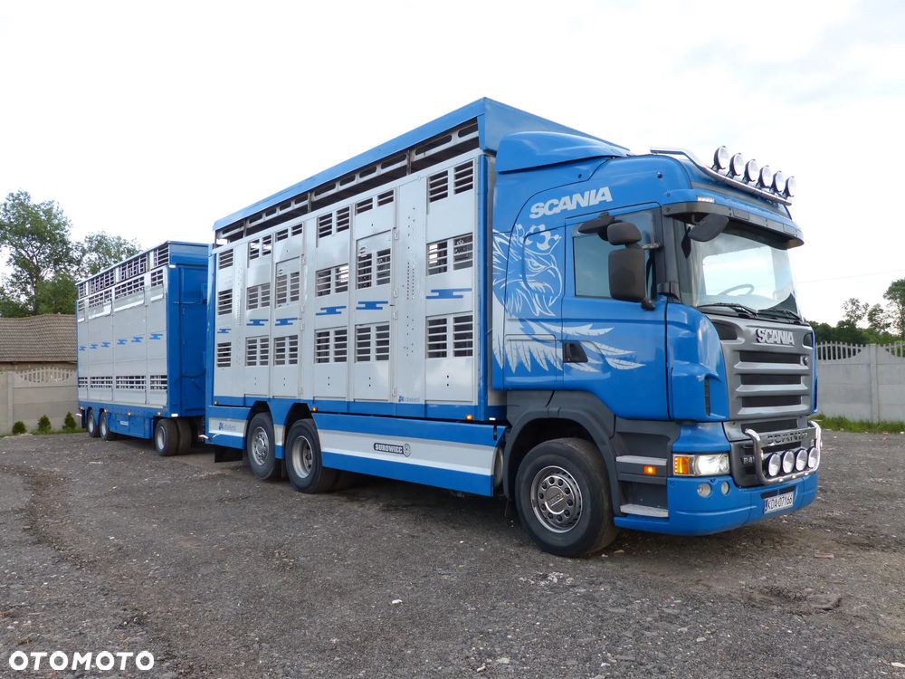 Scania R420 + PRZYCZEPA PEZZAIOLI / ZESTAW DO ŻYWCA, ZWIERZĄT, BYDŁA, TRZODY - 25