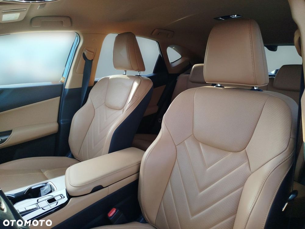 Lexus NX - 12