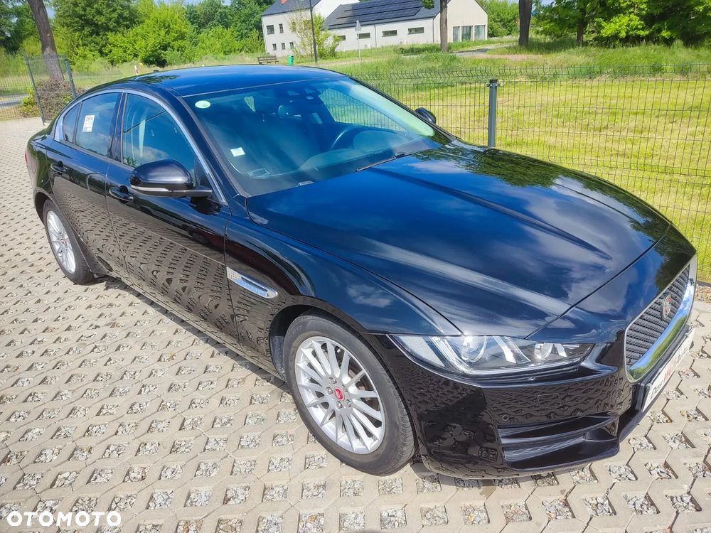 Jaguar XE E-Performance Pure - 6