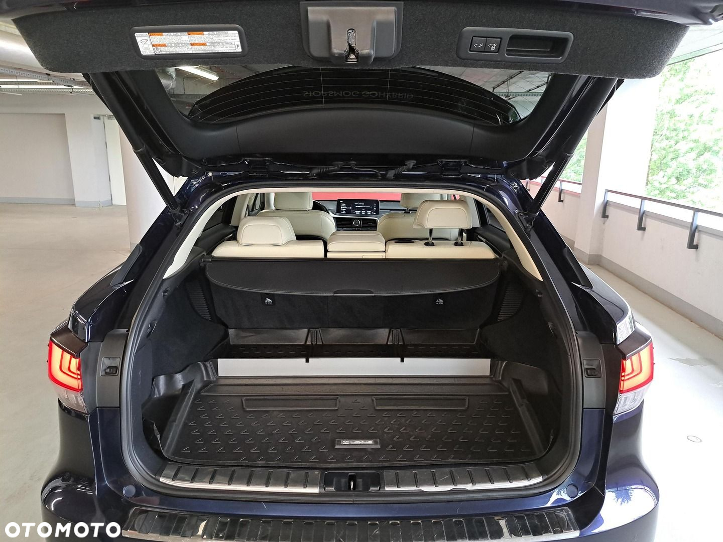 Lexus RX 450h F-Impression - 12