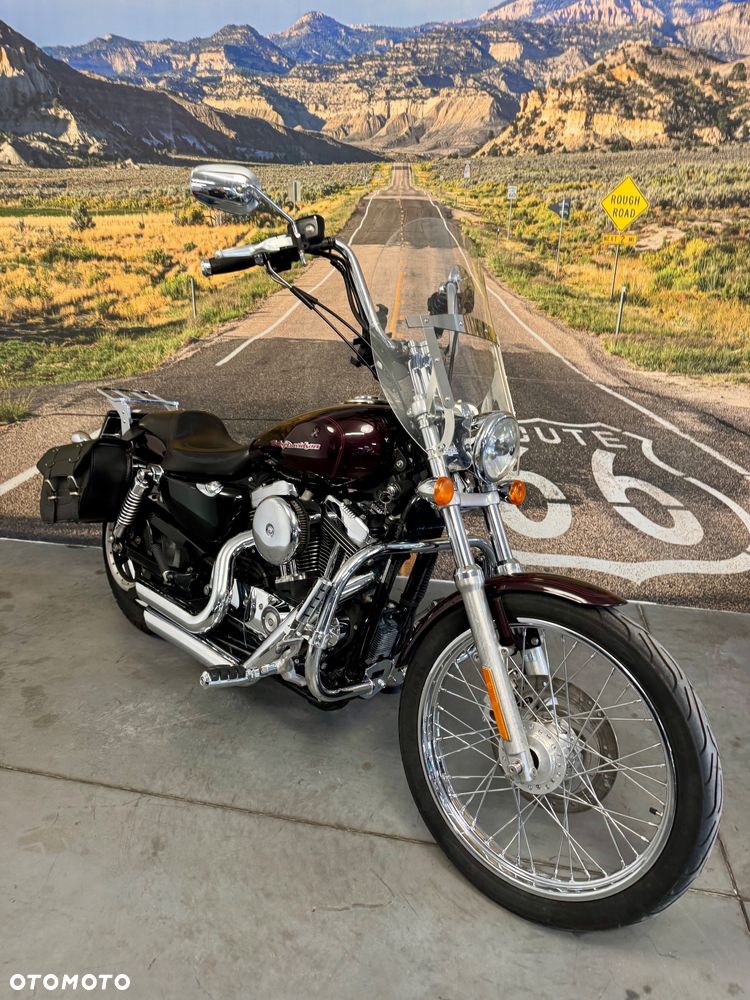 Harley-Davidson Sportster Custom 1200C - 3
