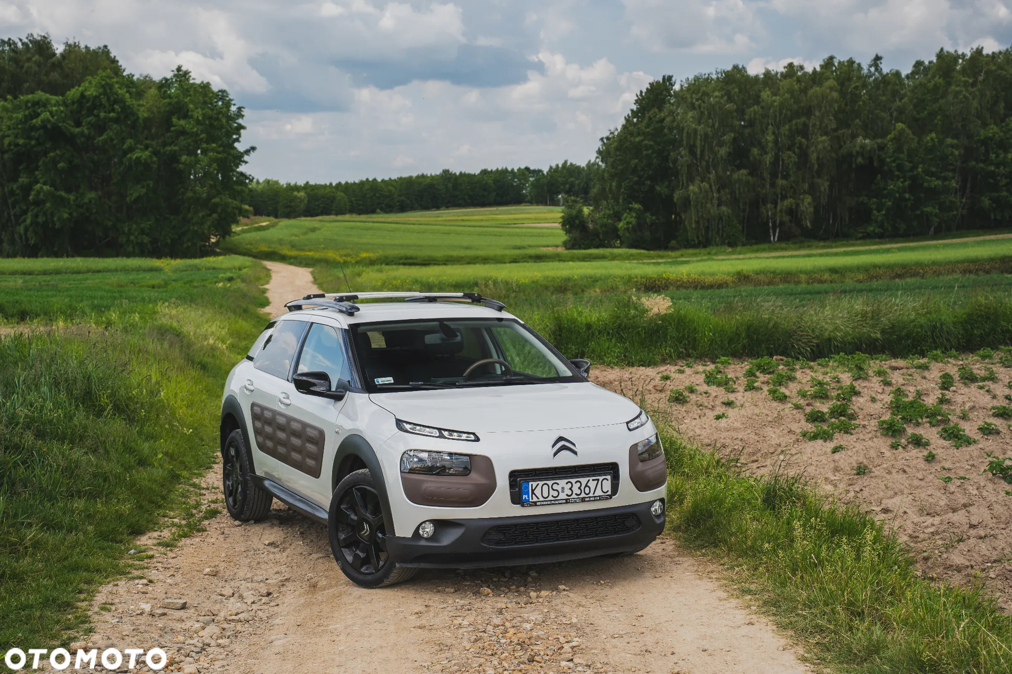 Citroën C4 Cactus - 5