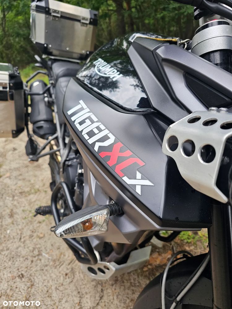 Triumph Tiger - 3