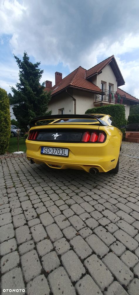 Ford Mustang - 8
