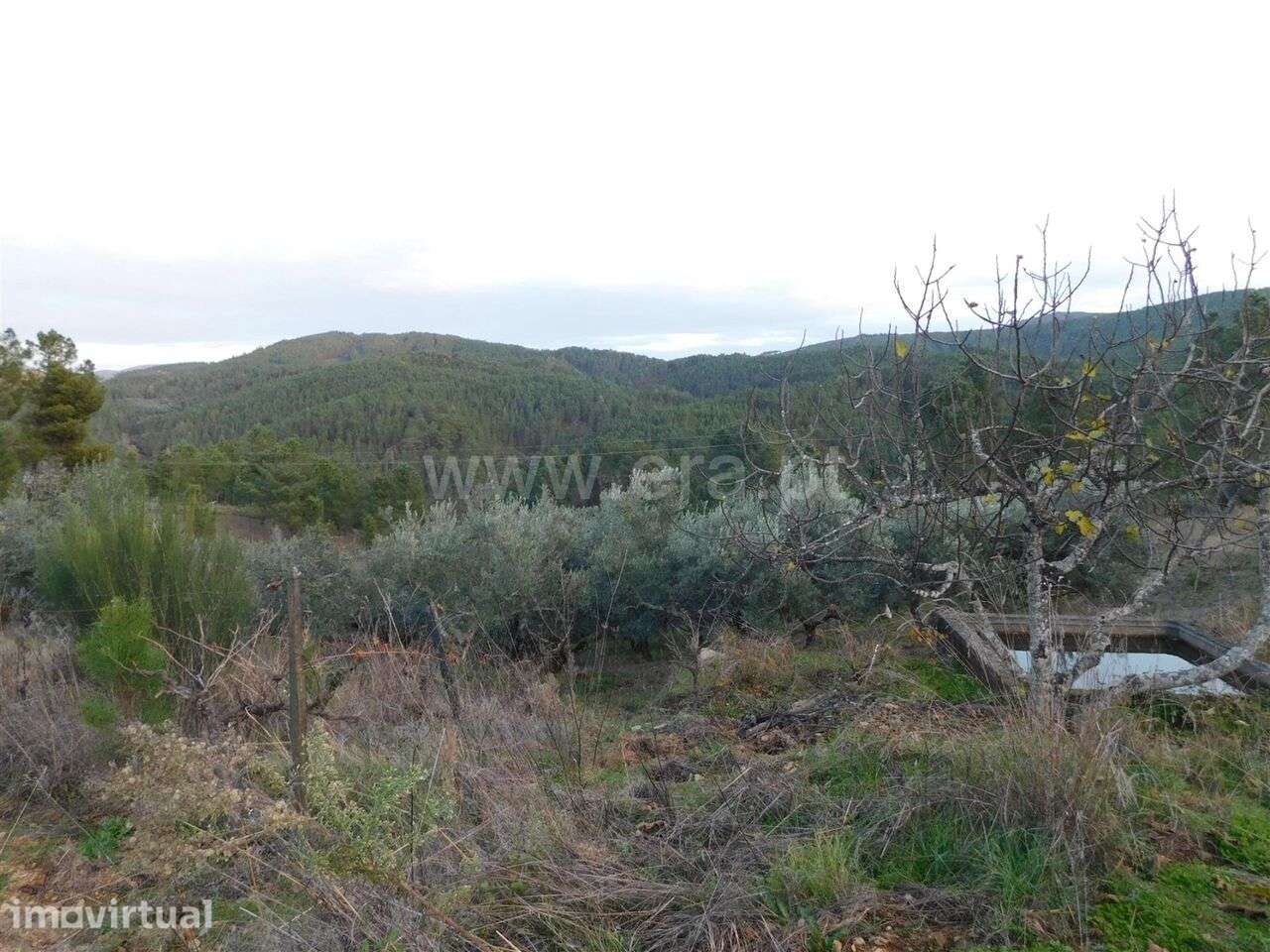 Terreno para Construção / Fundão, Silvares - Grande imagem: 3/4