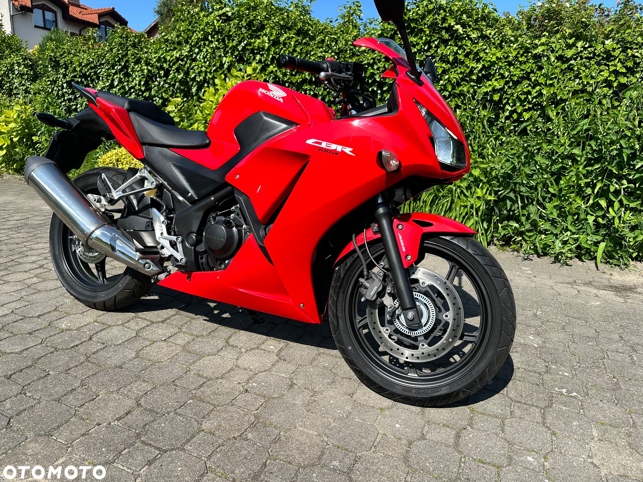 Honda CBR - 19