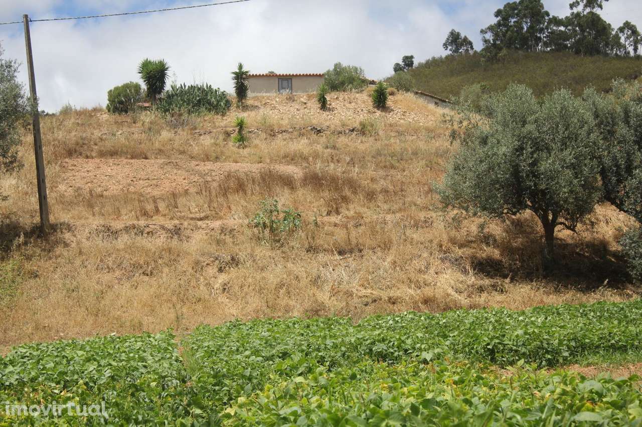 Quintinha - Grande imagem: 3/4