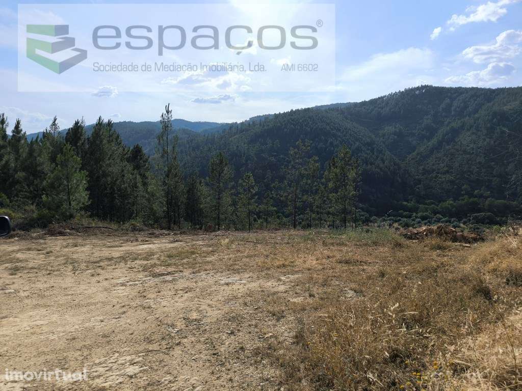 Terreno rústico junto ao Sesmo - Grande imagem: 3/9