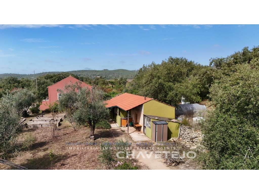 Casa de campo com terreno, habitação principal estúdio + 1 quarto i... - Grande imagem: 2/38
