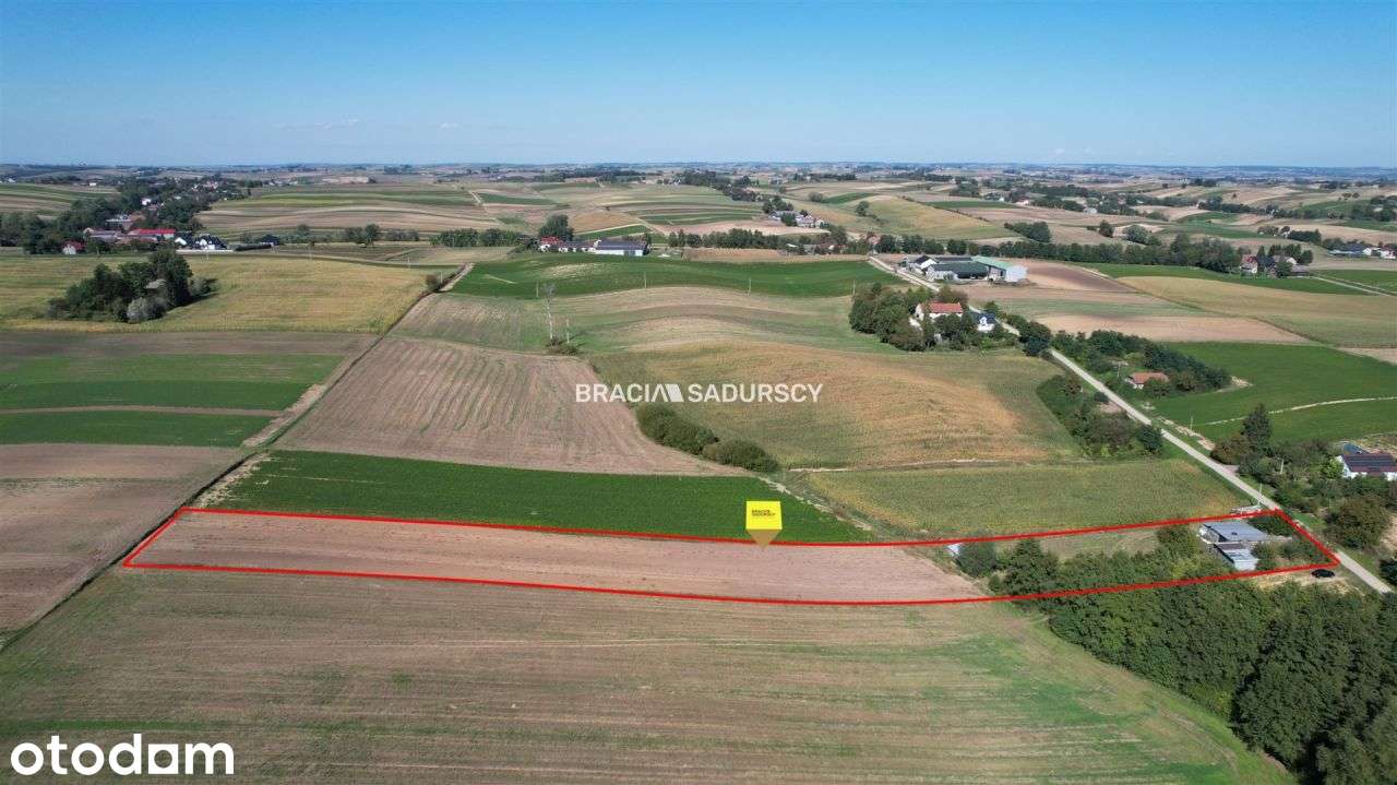 Działka, 7 730 m², Kazimierza Wielka - Pełny obrazek: 2/14