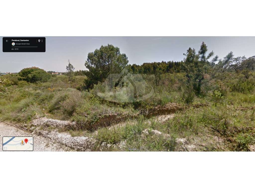 Terreno rústico com 16.100 m² em Pontével, Cartaxo - Grande imagem: 3/4
