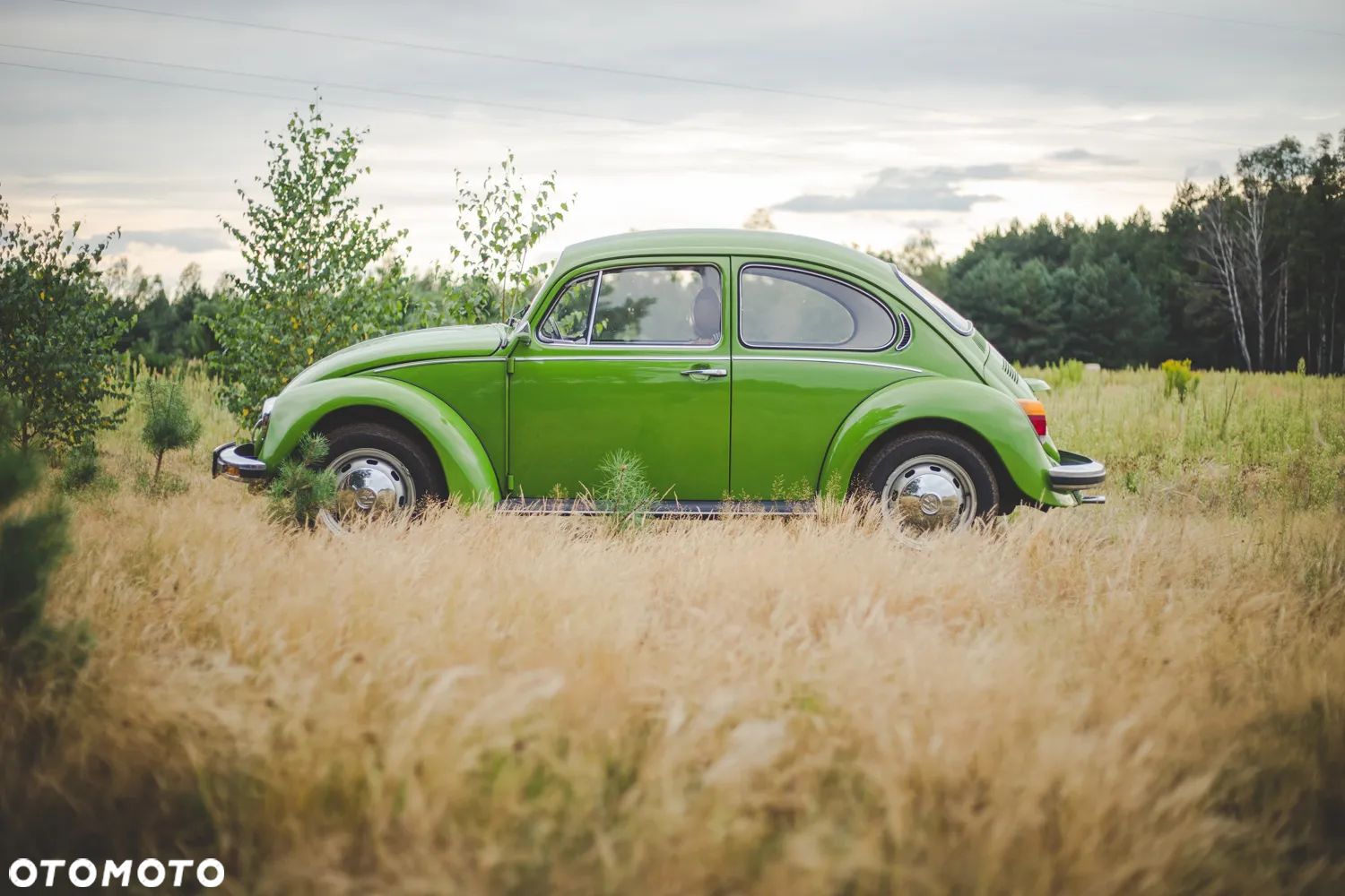 Volkswagen Garbus - 1