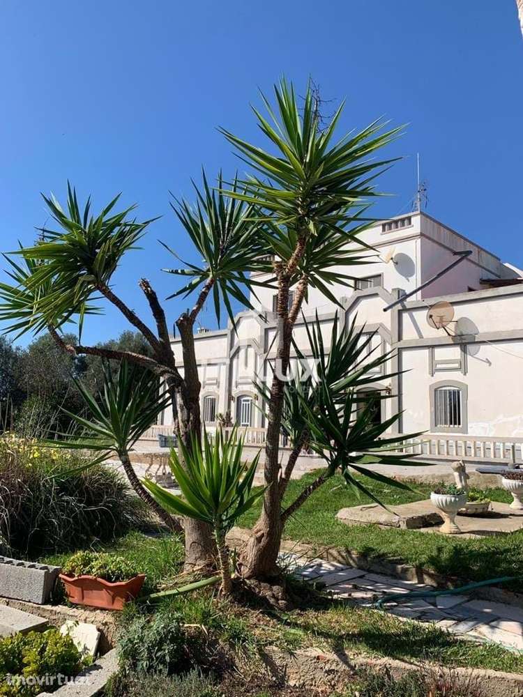 Uma oportunidade fantástica para investir em uma propriedade bem local - Grande imagem: 2/10