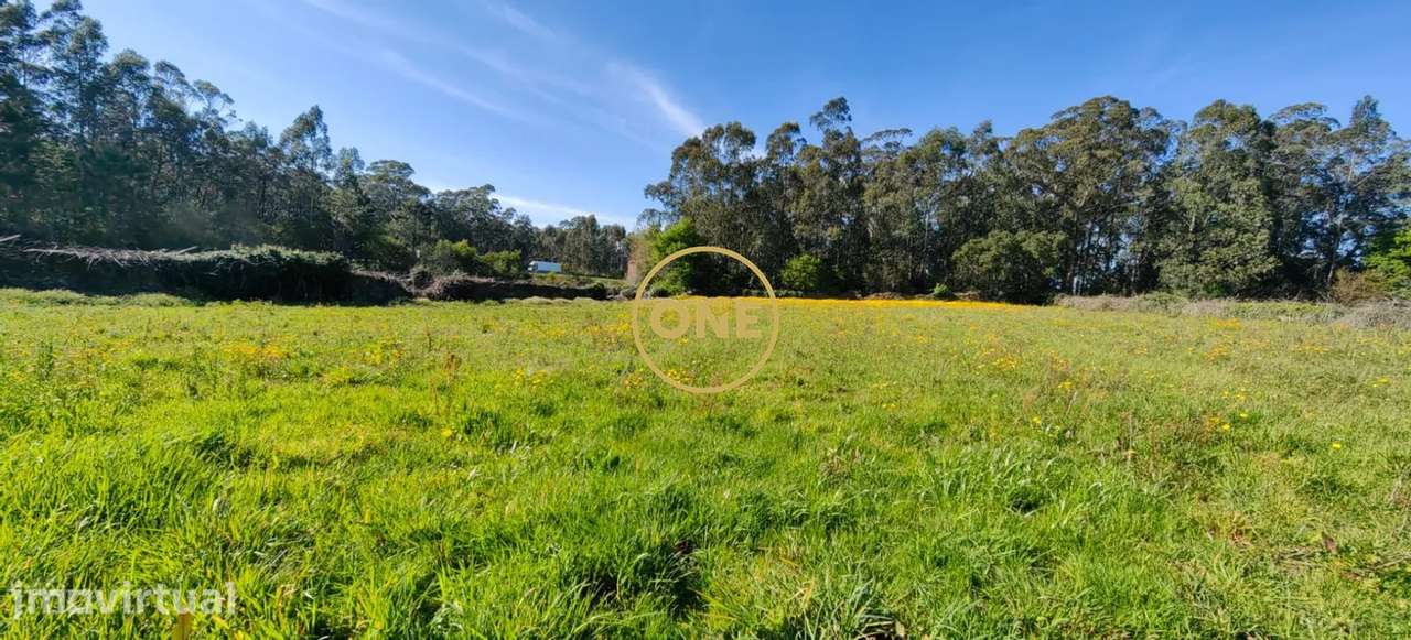 Terreno agrícola de grande dimensão em Rio Tinto, Esposende - Grande imagem: 3/16