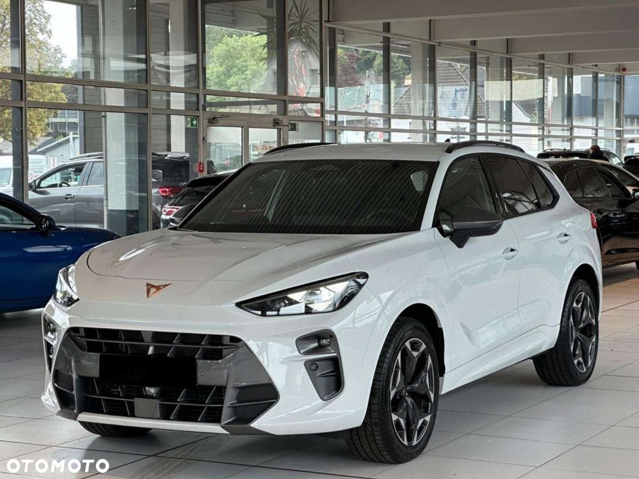Cupra Terramar - 2