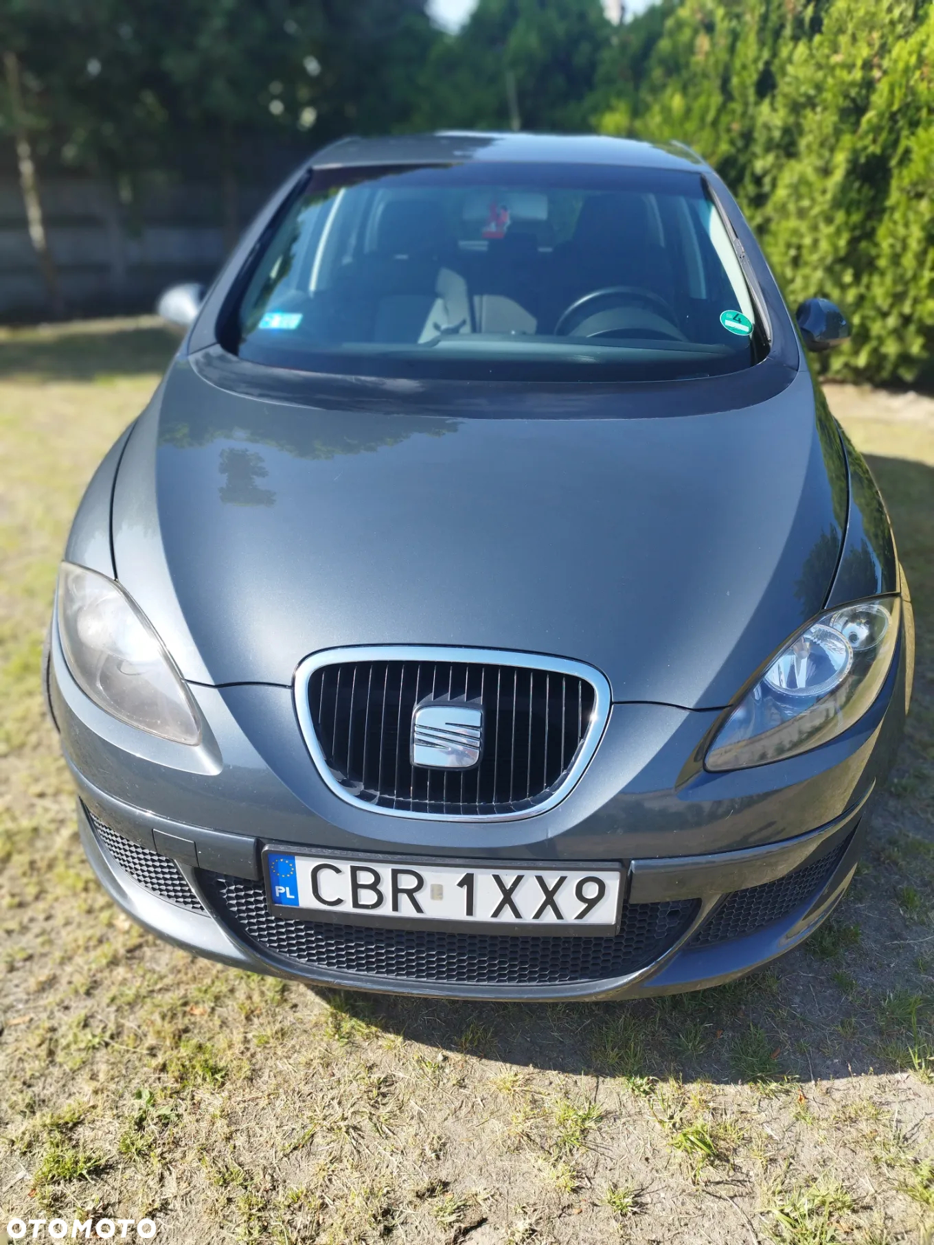 Seat Altea - 8