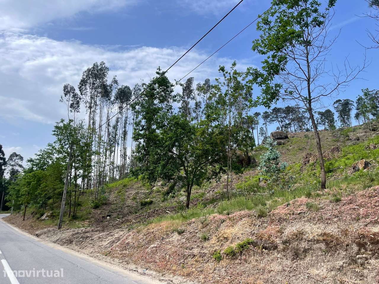 Terreno com 2,64 hectares em Cepães - Grande imagem: 3/5