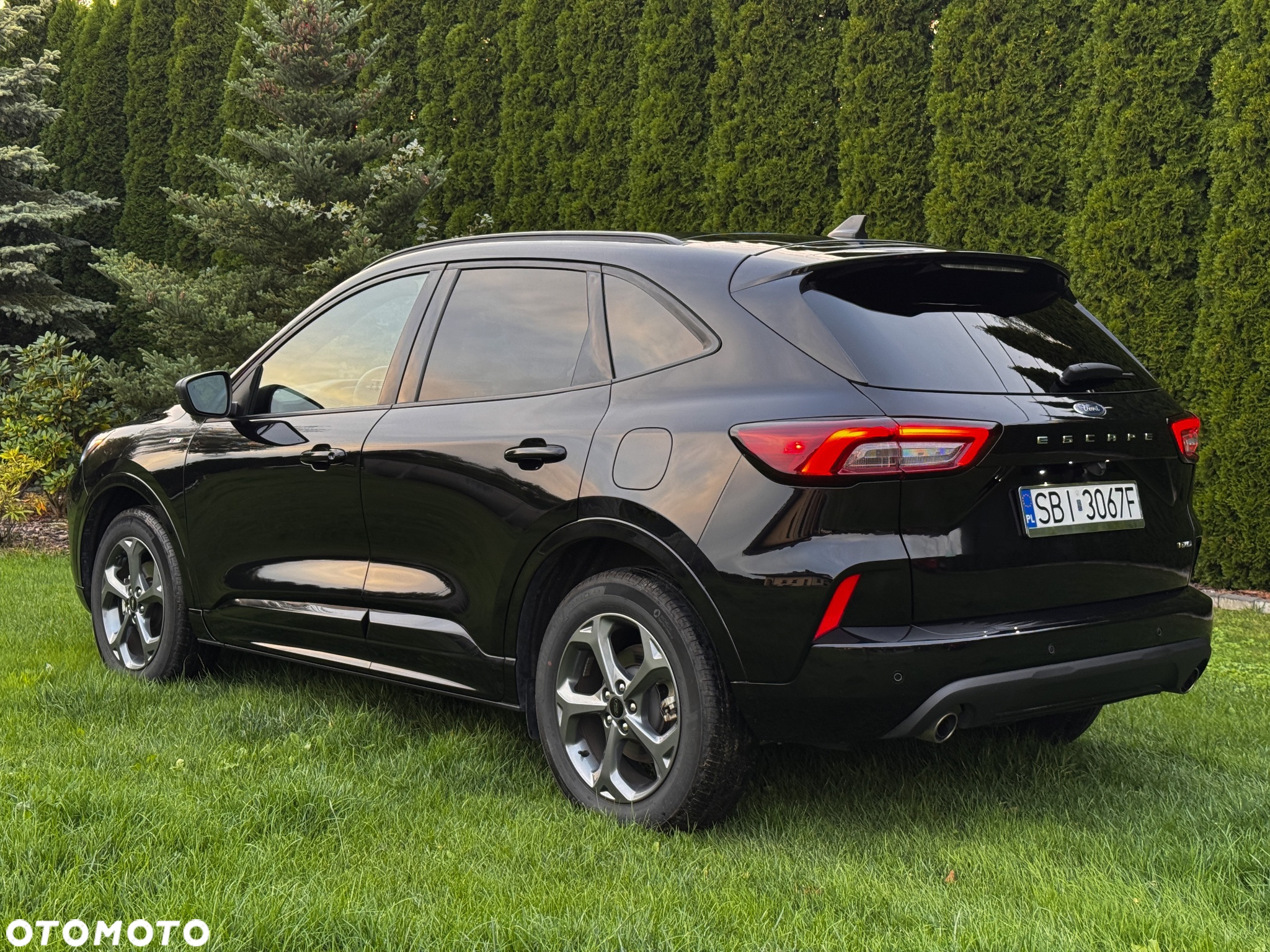 Ford Escape - 5