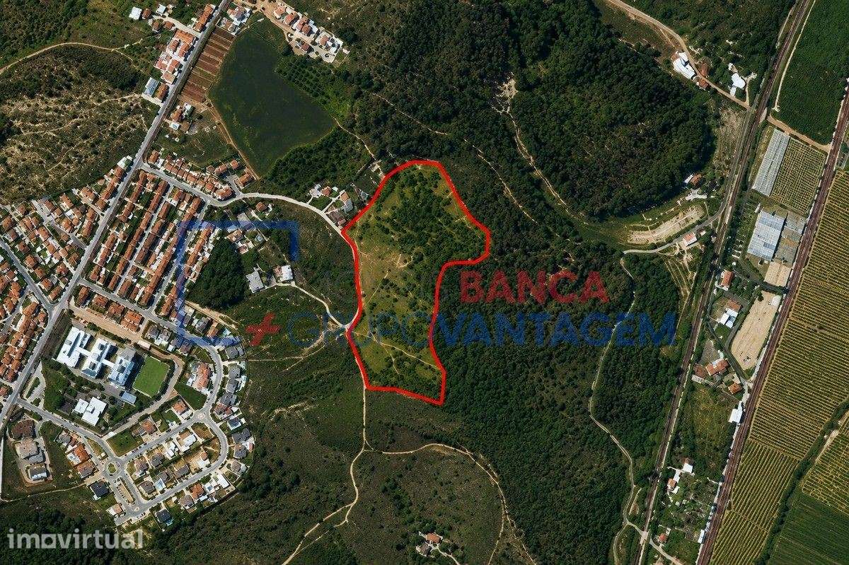 TERRENO SANTARÉM - Grande imagem: 2/8