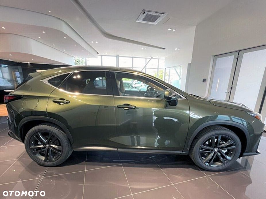 Lexus NX - 6