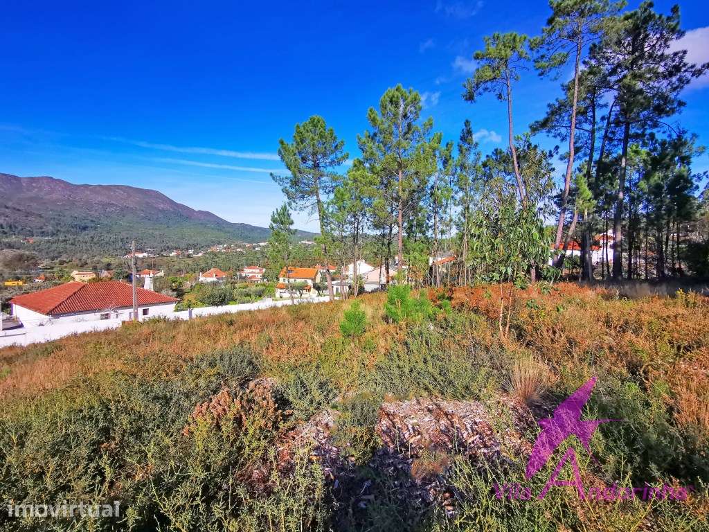 Terreno 1578,84 m2 a 13 minutos de Viana do Castelo - Vista e local... - Grande imagem: 4/12
