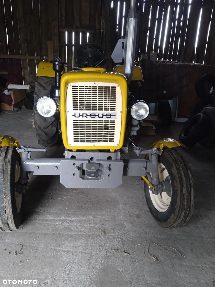 Ursus - 7