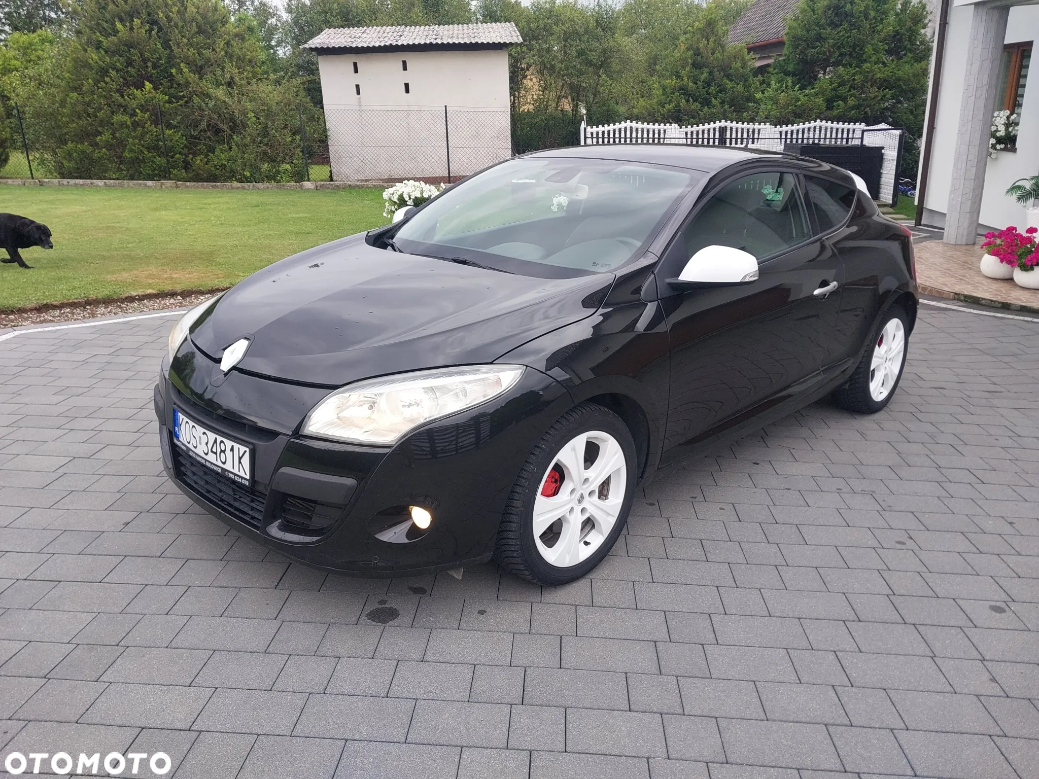 Renault Megane 2.0 16V TCE Dynamique - 8