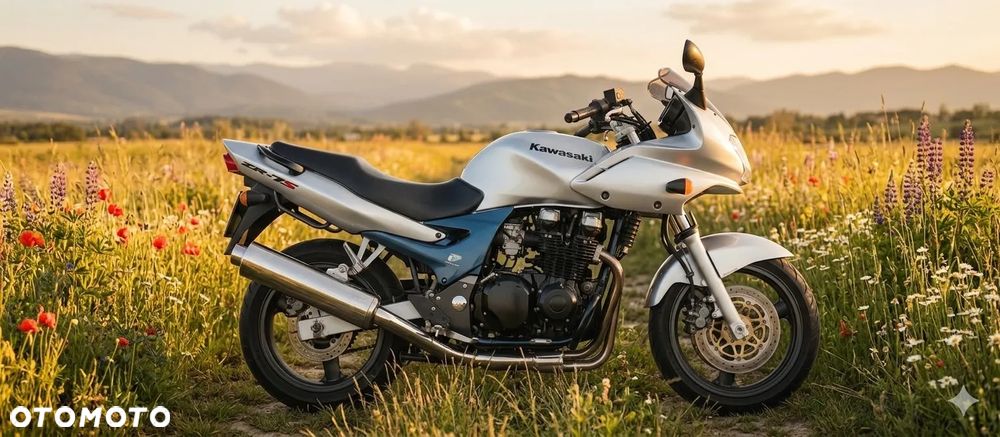 Kawasaki ZR - 1