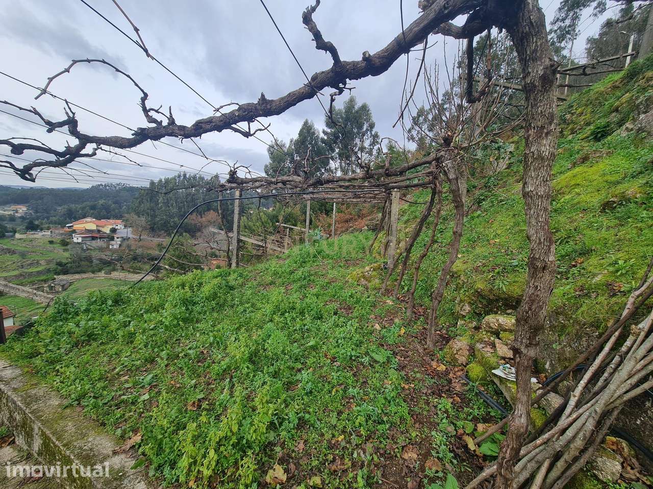 TERRENO RÚSTICO, PENAFIEL, CAPELA (apenas venda conjunta com a referên - Grande imagem: 4/10