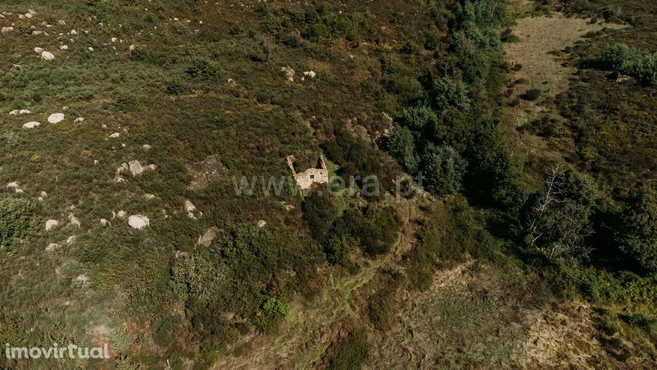 Quinta / Seia, Paranhos - Grande imagem: 4/8