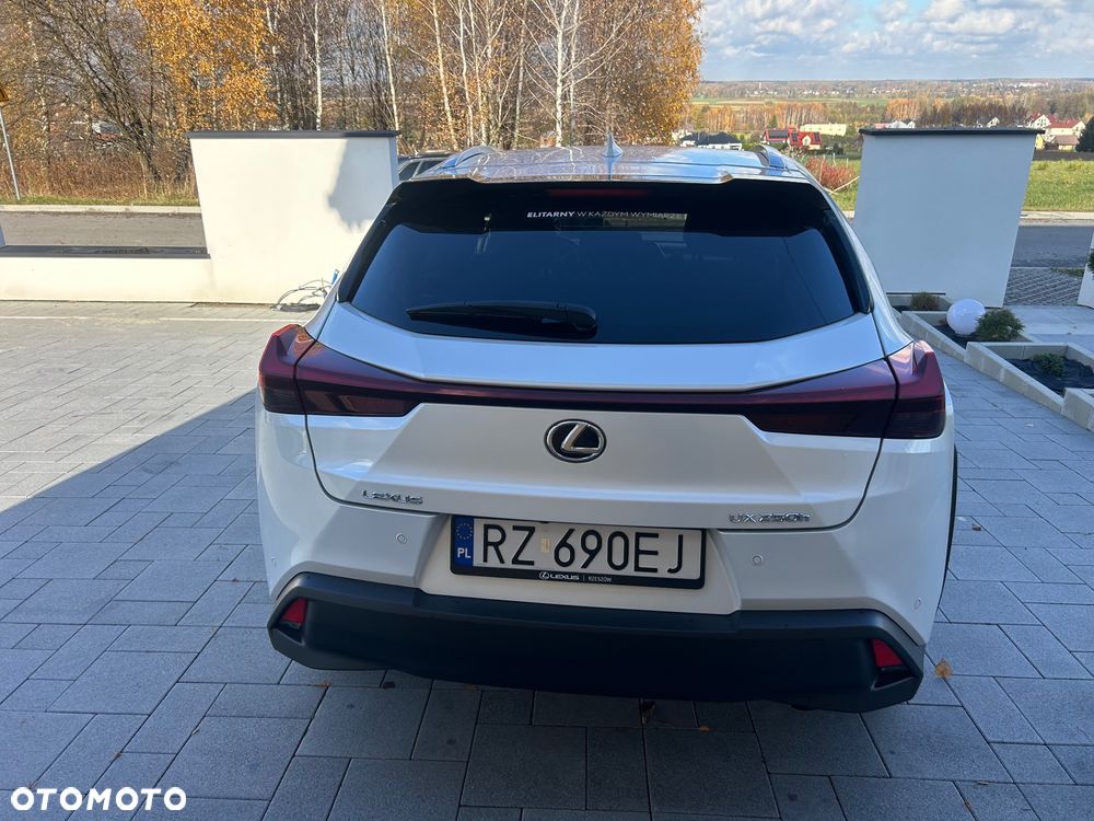 Lexus UX 250h GPF Business 2WD - 7