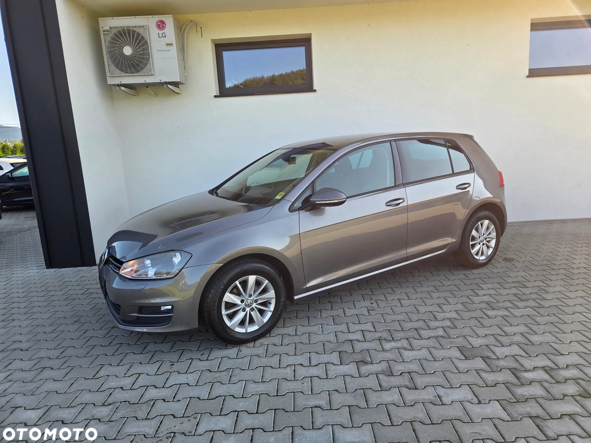 Volkswagen Golf - 15