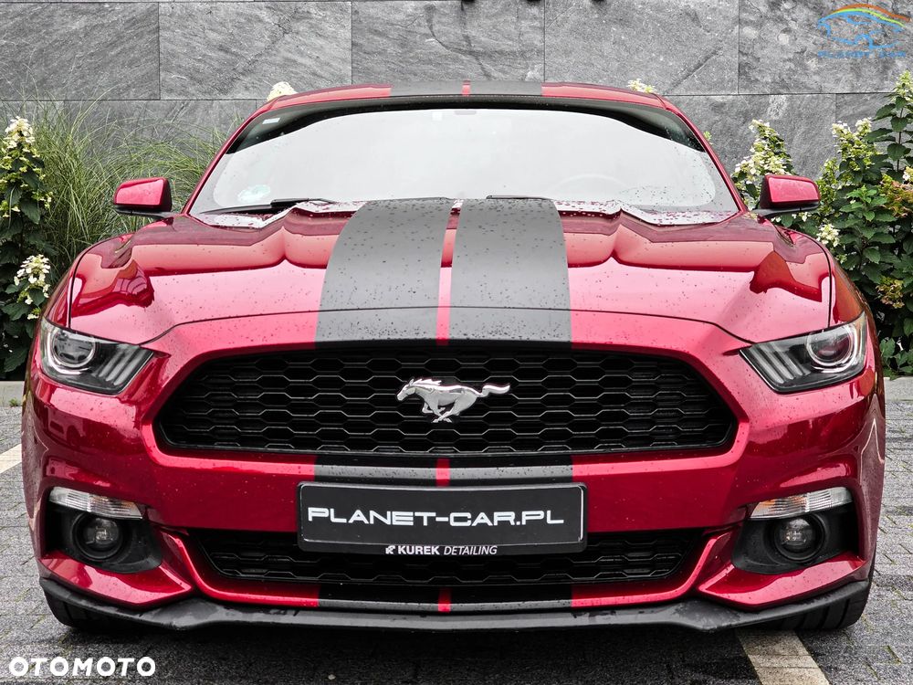 Ford Mustang 2.3 EcoBoost - 10