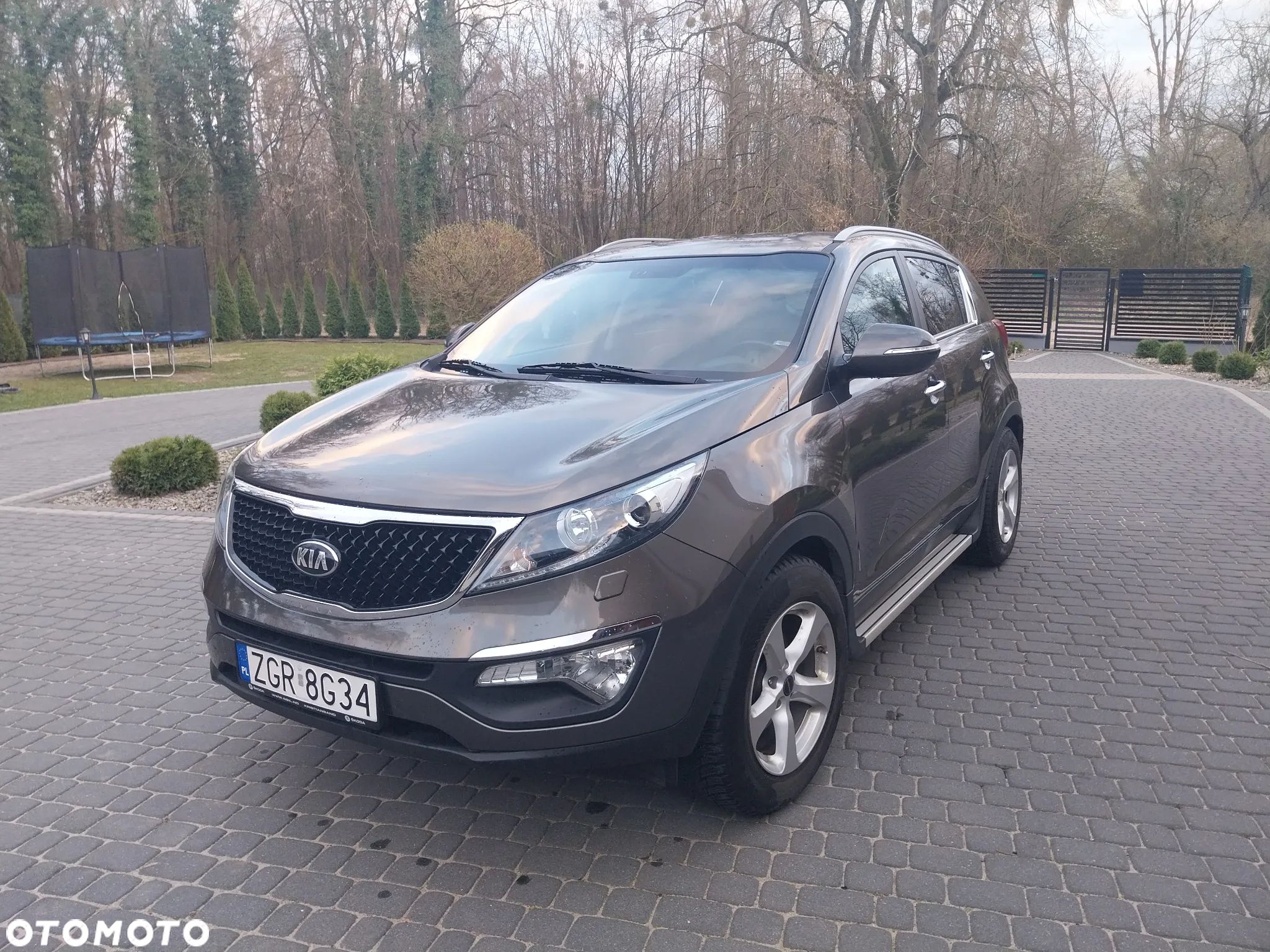 Kia Sportage - 1